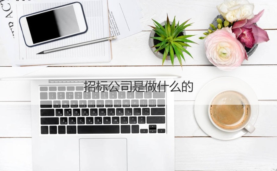 解读广西崇左云龙招标公司 业务范畴与招投标代理的价值