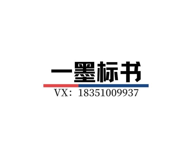 夏星代表 以工程管理服务与招投标代理服务为核心，推动行业专业化发展
